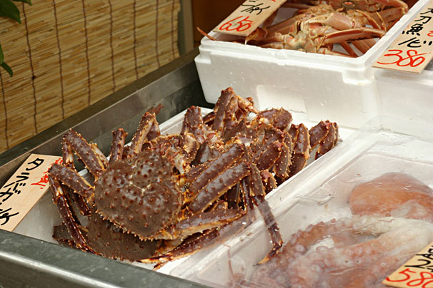 たくさんの魚屋