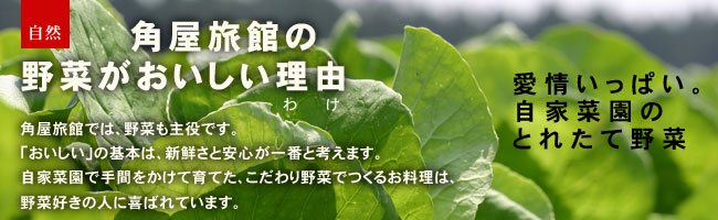 角屋旅館の野菜がおいしい理由