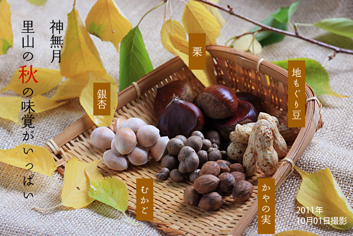 新潟の秋の味覚 銀杏 むかご 栗 地もぐり豆 肴豆 里芋 むらさき芋 原木椎茸