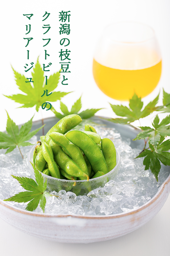 日本一の枝豆王国 新潟県 枝豆栽培