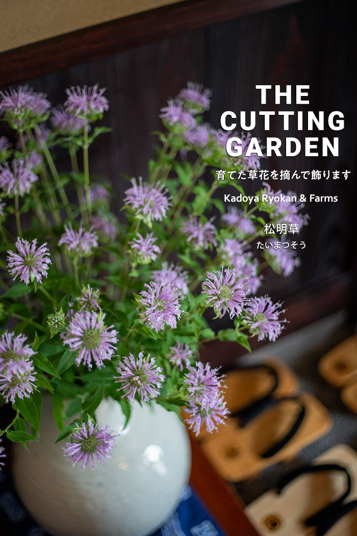 pف@p_@Kadoya Ryokan & Farms@JbeBOK[f@CUTTING@GARDEN@ĂԂEŏ܂
