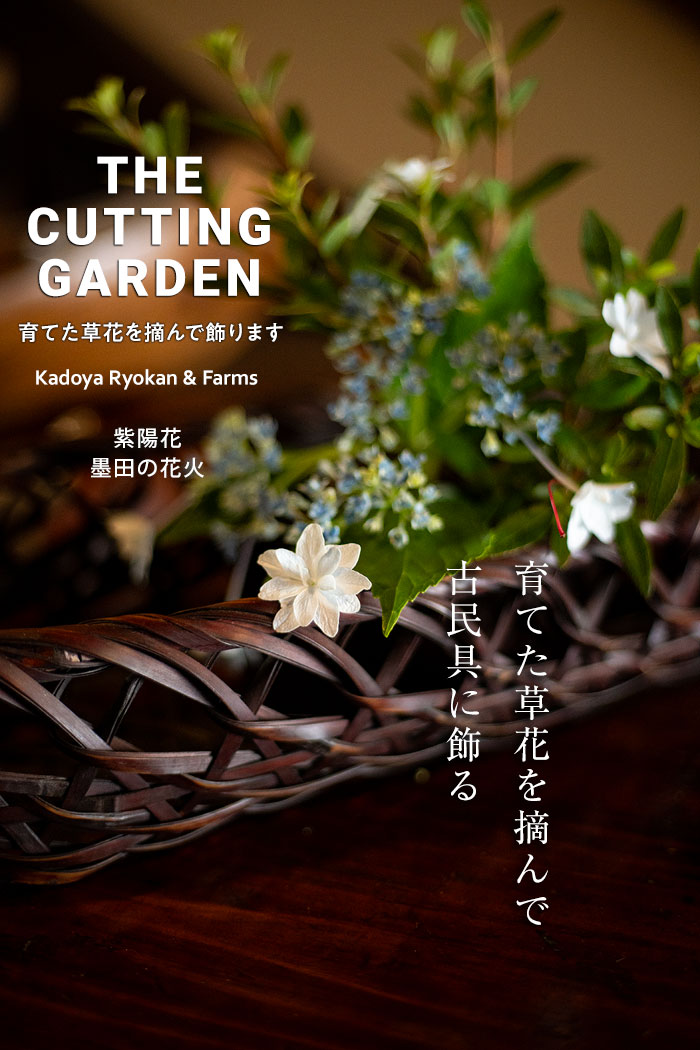 pف@p_@Kadoya Ryokan & Farms@JbeBOK[f@CUTTING@GARDEN@ĂԂEŏ܂