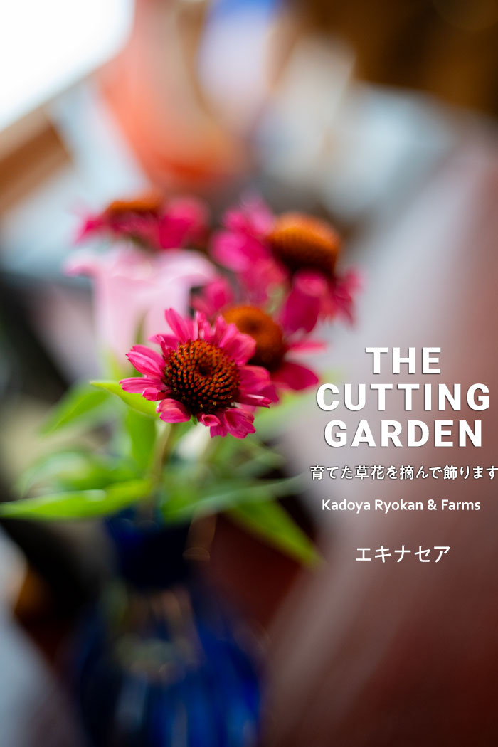 pف@p_@Kadoya Ryokan & Farms@JbeBOK[f@CUTTING@GARDEN@ĂԂEŏ܂