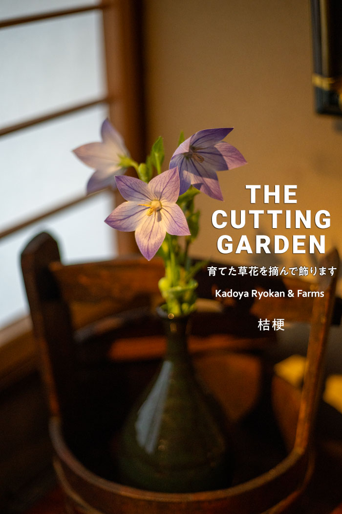 pف@p_@Kadoya Ryokan & Farms@JbeBOK[f@CUTTING@GARDEN@ĂԂEŏ܂