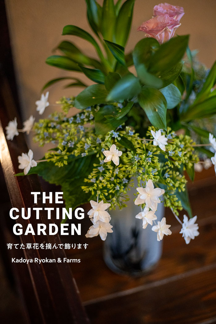 pف@p_@Kadoya Ryokan & Farms@JbeBOK[f@CUTTING@GARDEN@ĂԂEŏ܂