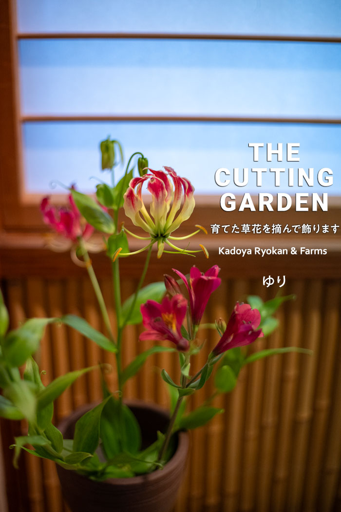 pف@p_@Kadoya Ryokan & Farms@JbeBOK[f@CUTTING@GARDEN@ĂԂEŏ܂