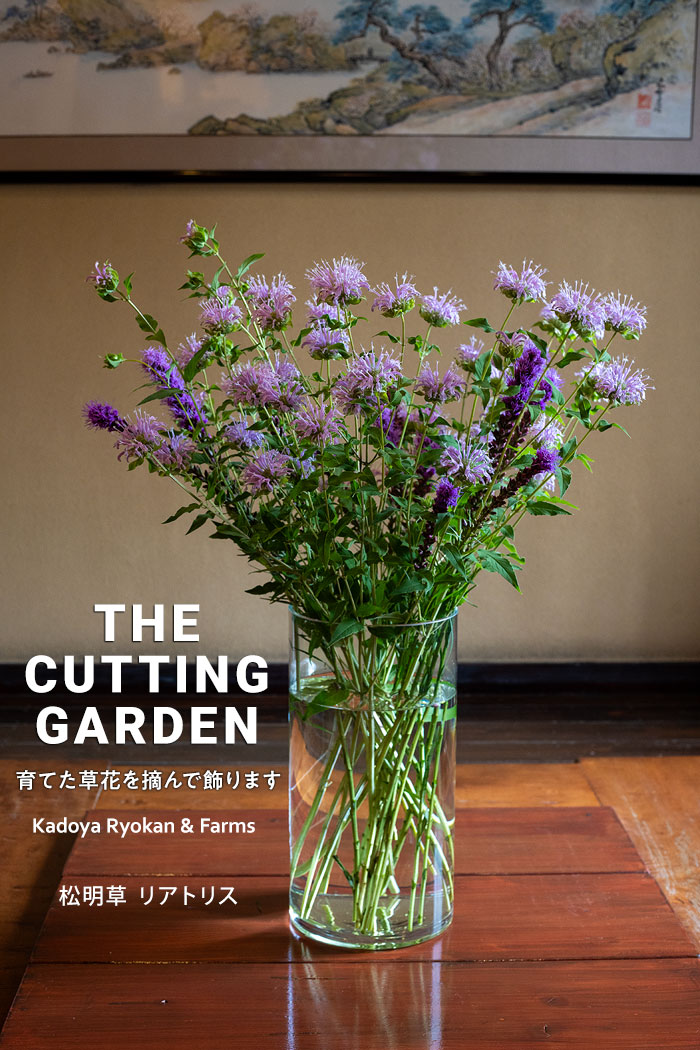 pف@p_@Kadoya Ryokan & Farms@JbeBOK[f@CUTTING@GARDEN@ĂԂEŏ܂