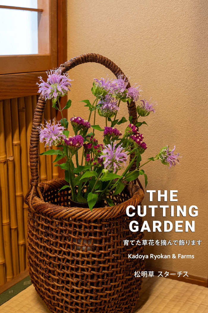 pف@p_@Kadoya Ryokan & Farms@JbeBOK[f@CUTTING@GARDEN@ĂԂEŏ܂