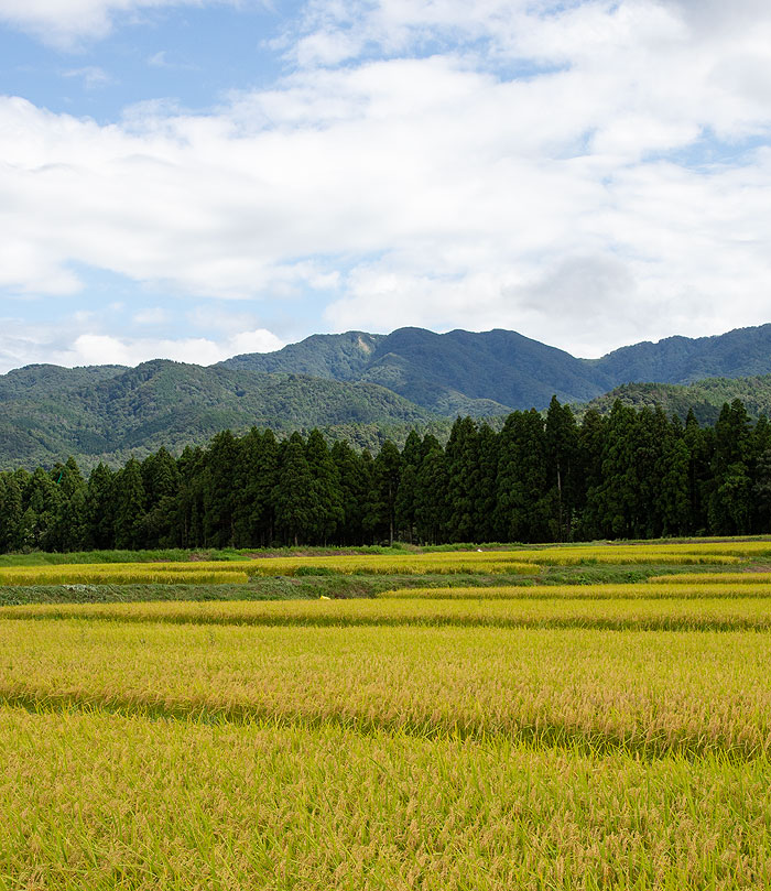 �܂̕�������ܓ��R
