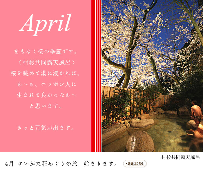 4月新潟花めぐりの旅　始まります