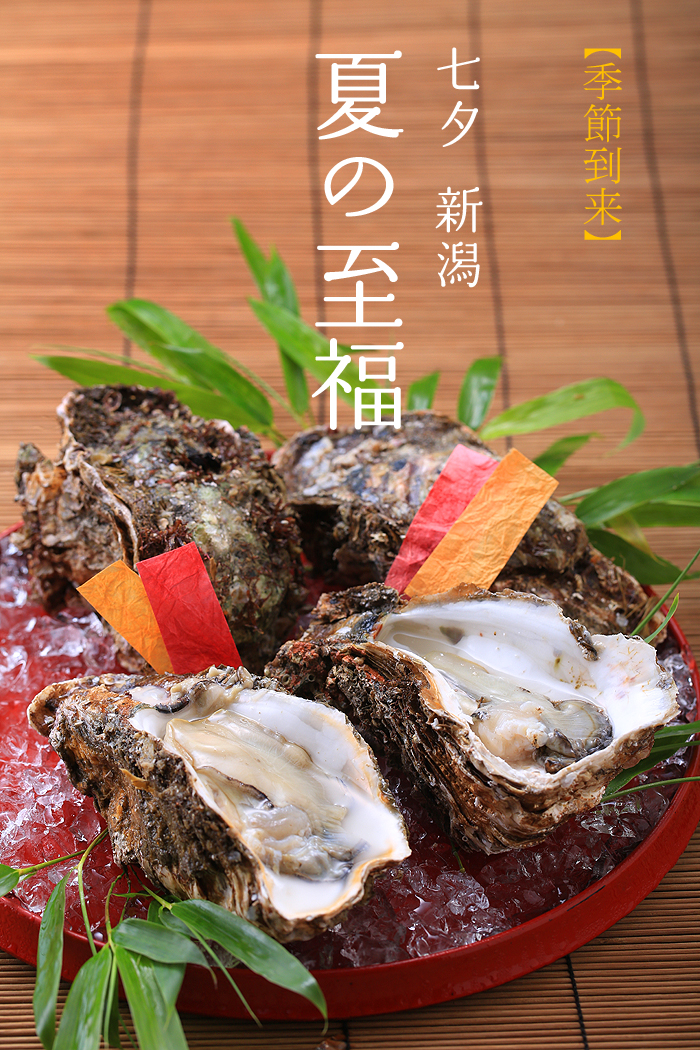 季節到来　七夕　夏の至福　新潟の岩牡蠣
