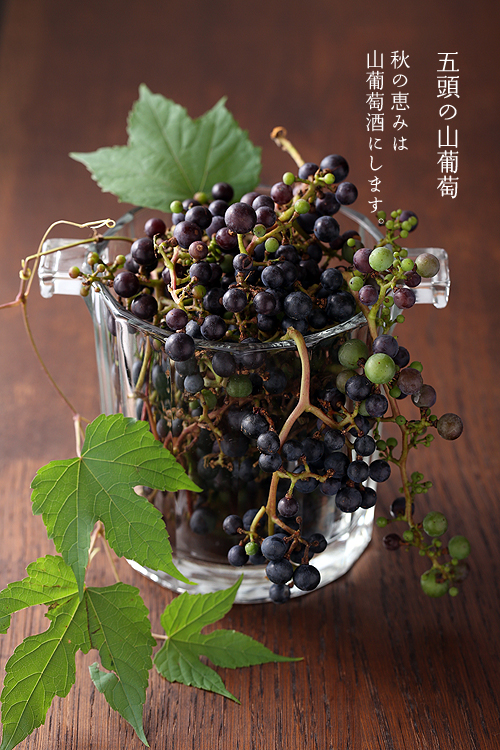 箪笥の果実酒 季節の味をお酒に 作り方のレシピは簡単です