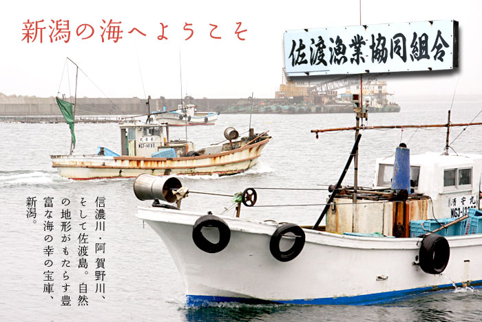 佐渡漁業協同組合