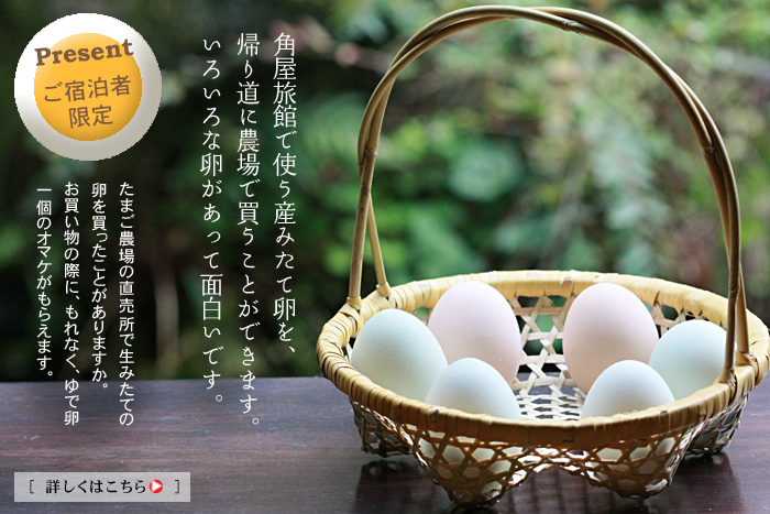 角屋旅館で使う産みたて卵を、帰り道に買うことができます。