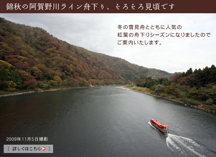 阿賀野川ライン舟下り　秋の紅葉舟