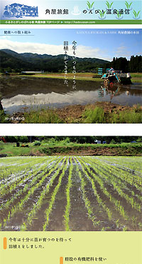2011/06/07号　角屋農園の田植えが終わりました