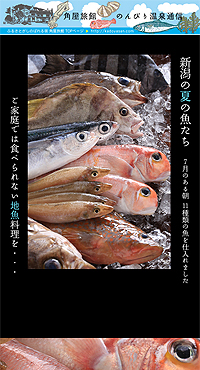 新潟の夏のおいしい魚