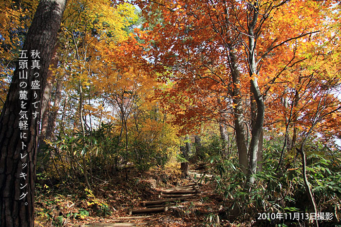 2010年秋　五頭山麓の美しい紅葉