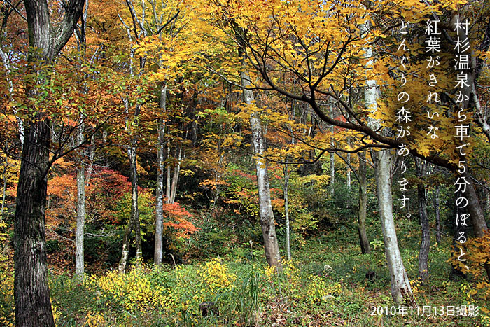 五頭山麓のどんぐりの森キャンプ場も紅葉を迎えました
