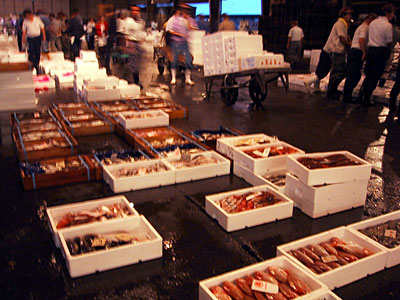 新潟鮮魚市場に並ぶのどぐろ