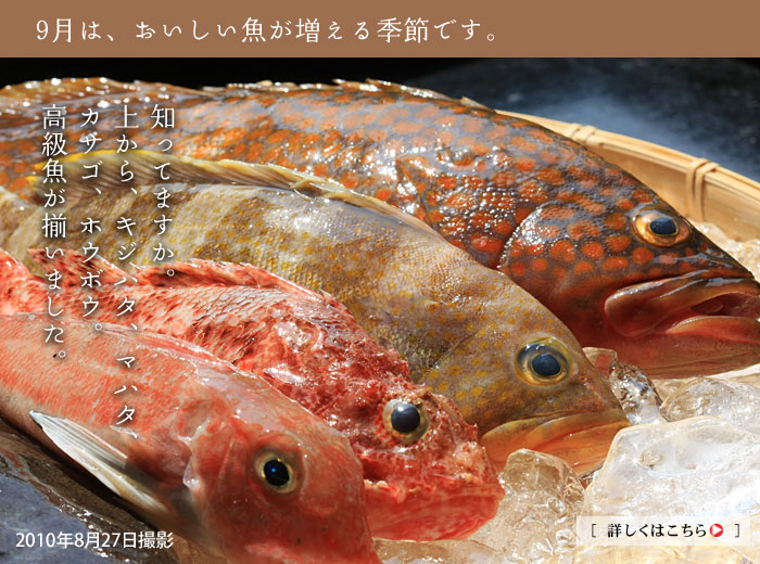 新潟の9月は、おいしい魚が増える時期です