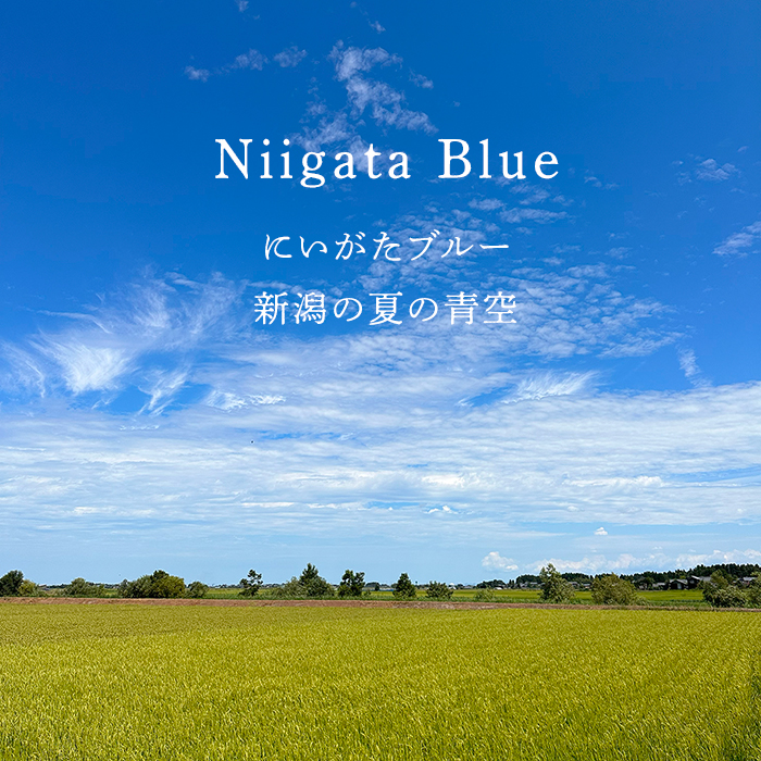 にいがたブルー　新潟の夏の青い空