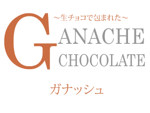 ガナッシュ　生チョコレートケーキ