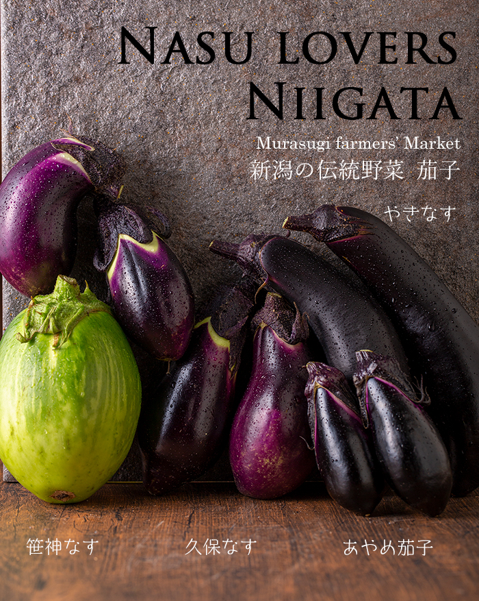 新潟の伝統野菜　種類が多いナス　笹神なす　久保なす　
