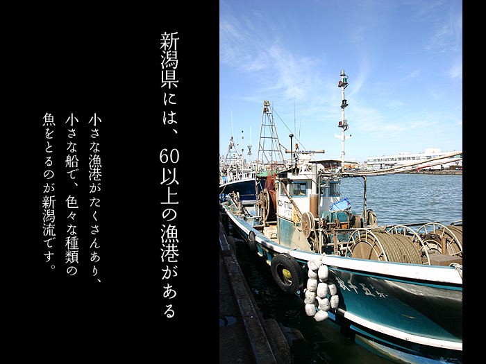 新潟県には、60以上の漁港がある