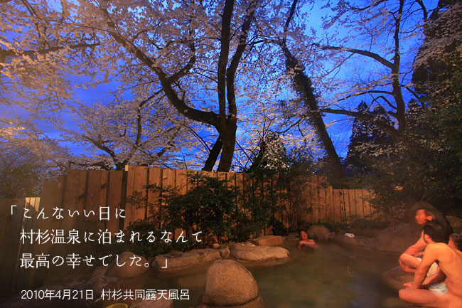 村杉共同露天風呂の夜桜