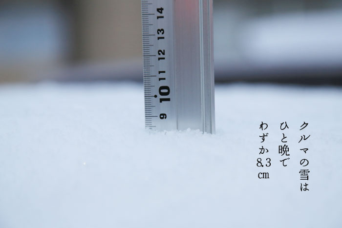 クルマの雪はひと晩でわずか8.3センチ