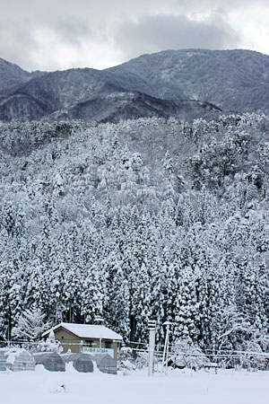 高台からの村杉温泉の雪景色