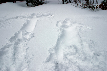 新潟の雪景色　ウサギの足跡