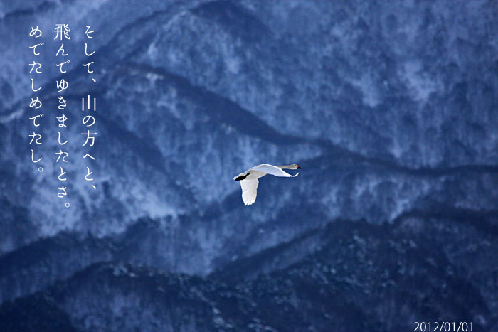 山の方へ飛んでゆく白鳥の写真