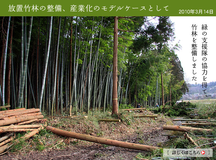 竹林整備　間伐事業