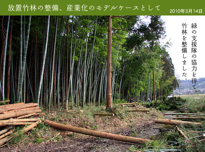 たけのこ栽培のための竹林間伐事業