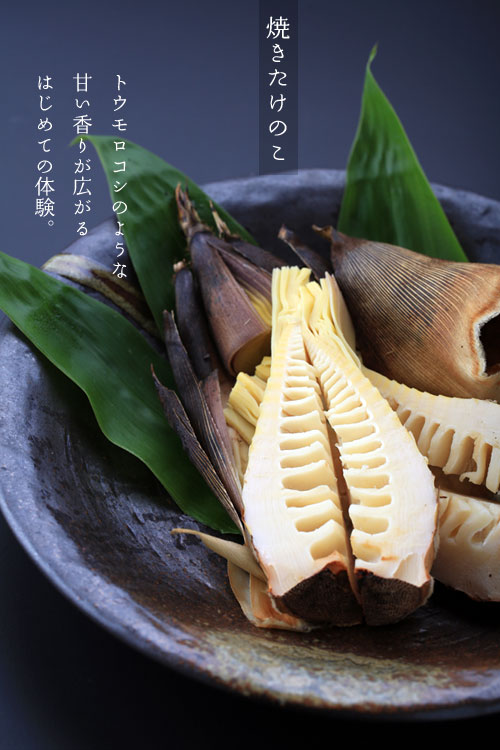 たけのこ料理 山菜料理 新潟県の温泉宿 三週間限定 朝掘りタケノコ料理 簡単レシピ