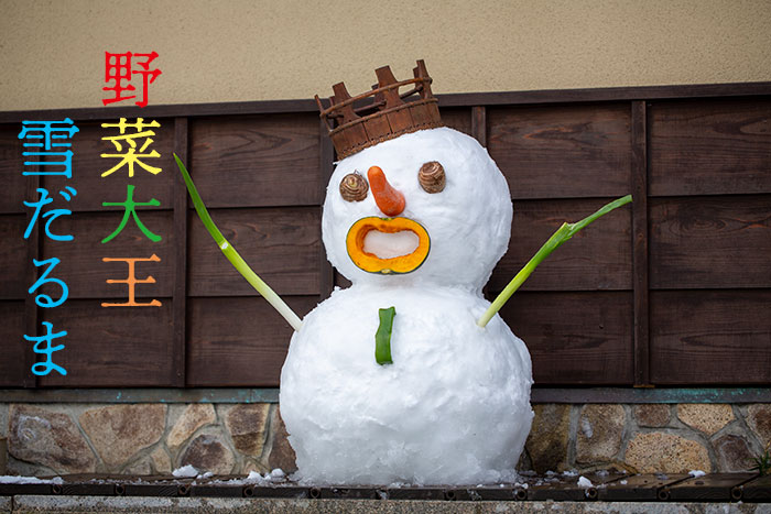 雪国新潟 正しい雪だるまの作り方 楽しい面白い 雪だるま写真集
